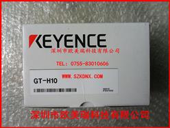 ʿӴʽִ GT-H10